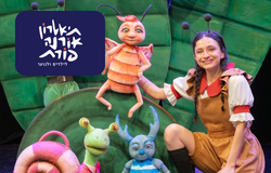 מנוי 4 כרטיסים להצגה - אורנה פורת