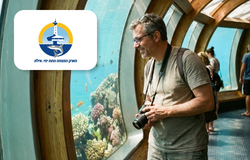 כניסה למבוגר – המצפה התת־ימי באילת