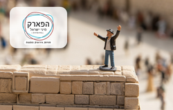 כרטיס כניסה לפארק מיני ישראל