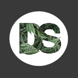 דרים ספא הרצליה