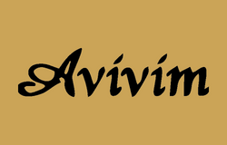 אביבים בייקרי תל אביב