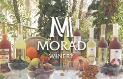 יקב מורד - MORAD