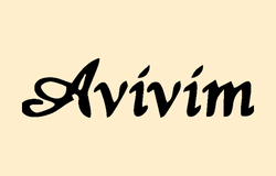 אביבים בייקרי תל אביב