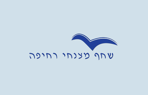 שחף מצנחי רחיפה