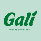 רשת גלי Gali