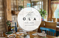 מסעדת הר הארי