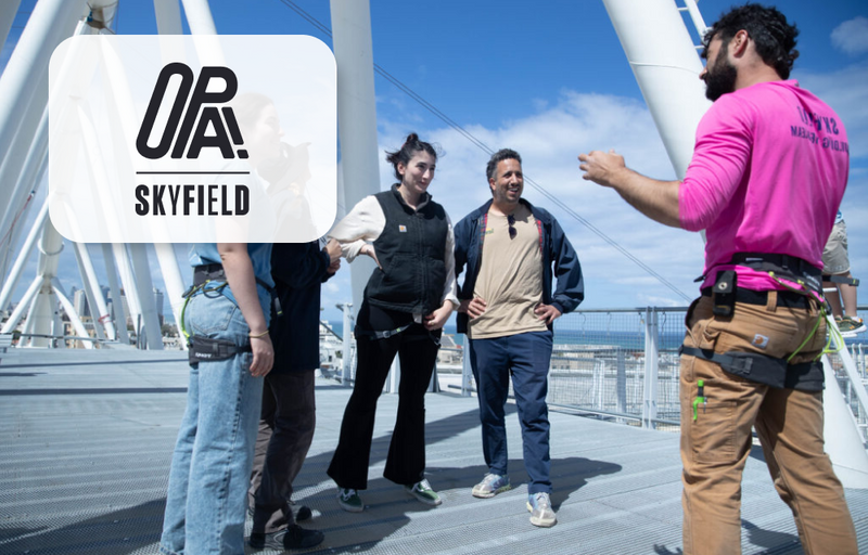 כרטיס מתחילים - פארק האקסטרים OPA! SkyField