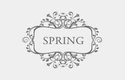 ספרינג - SPRING