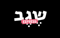 שגב אקספרס